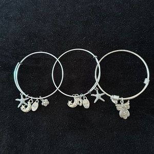 Various Bracelets And Charms